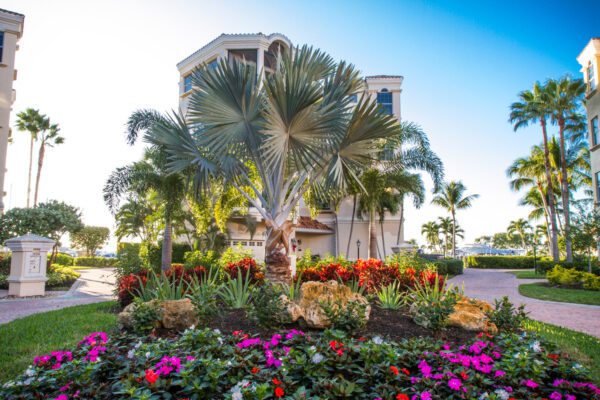 landscaping cape coral
