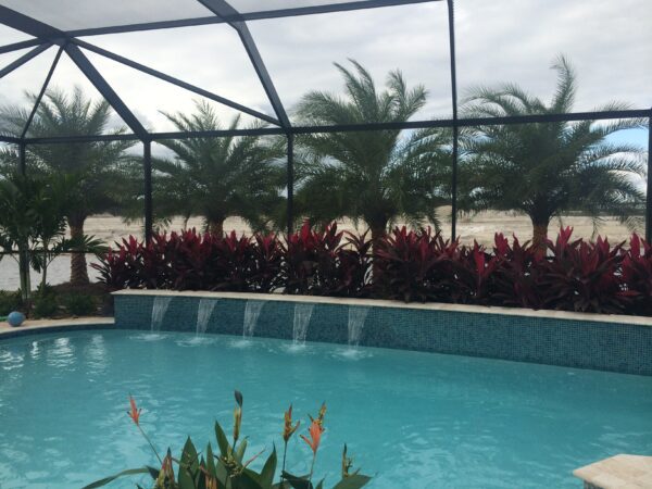 cape coral pool landscaping