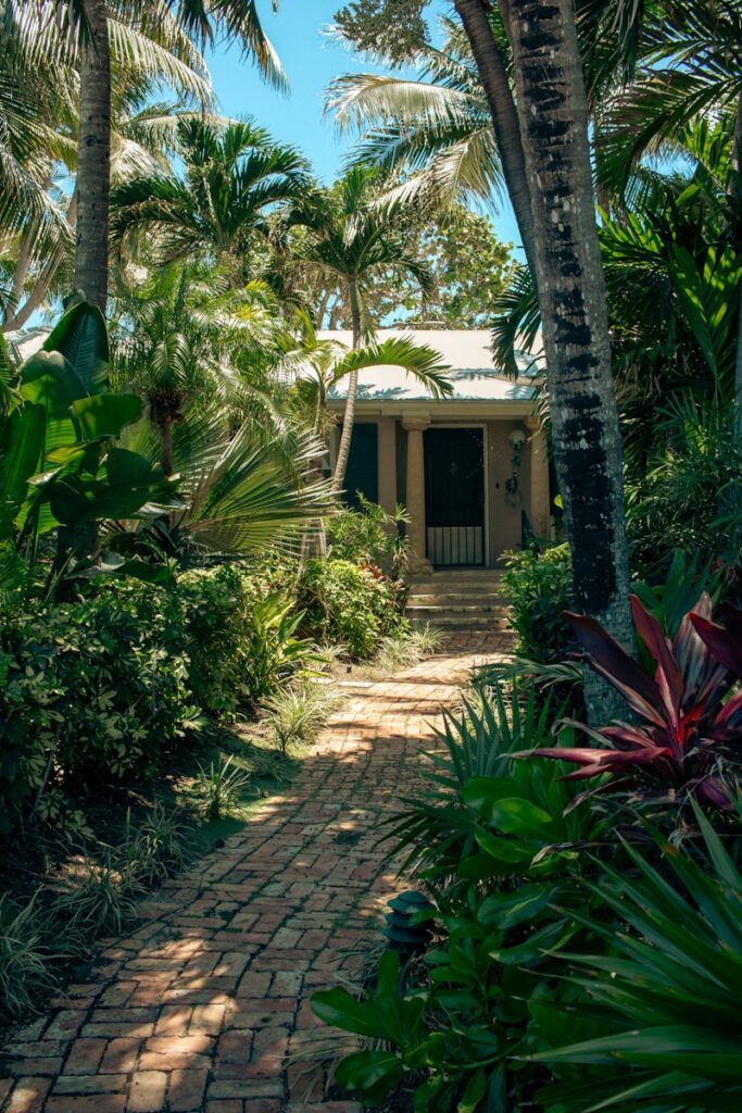Landscape Clean Up Services Near Me