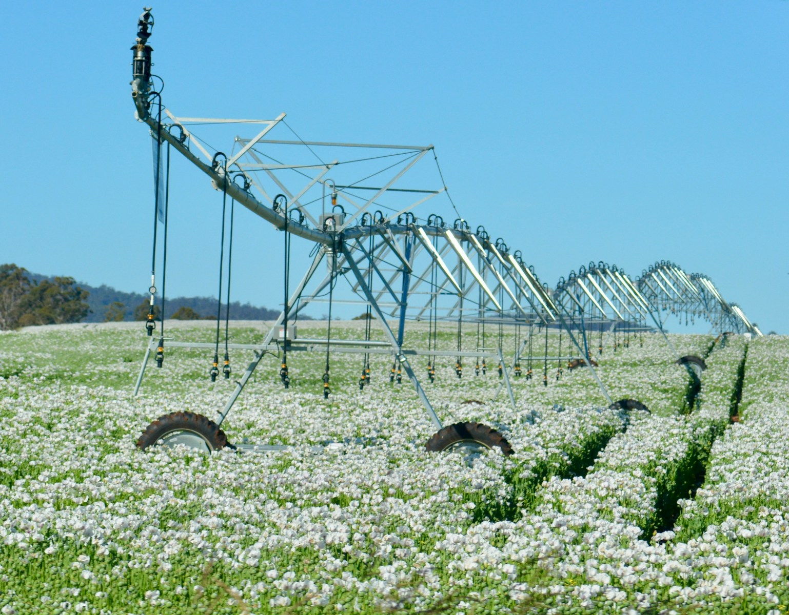 home irrigation system repair near me